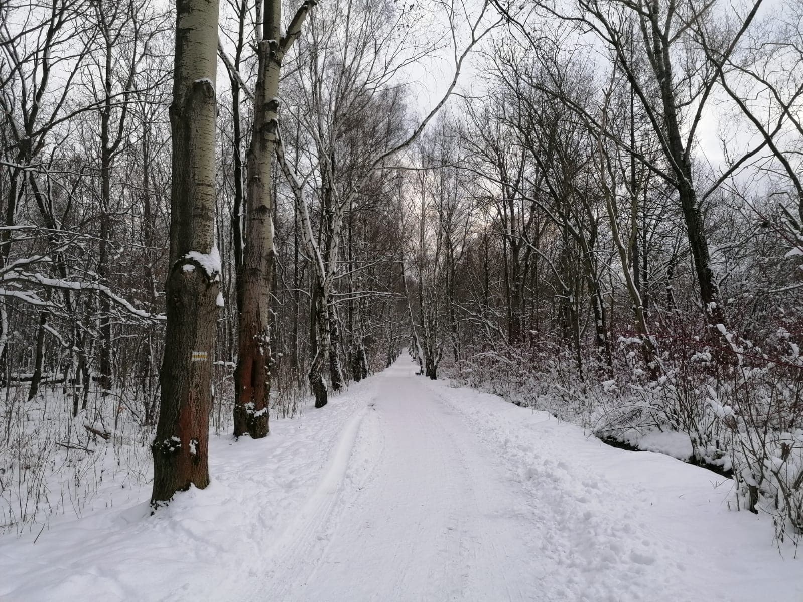 Vale dos Três Lagos (Dolina Trzech Stawów)