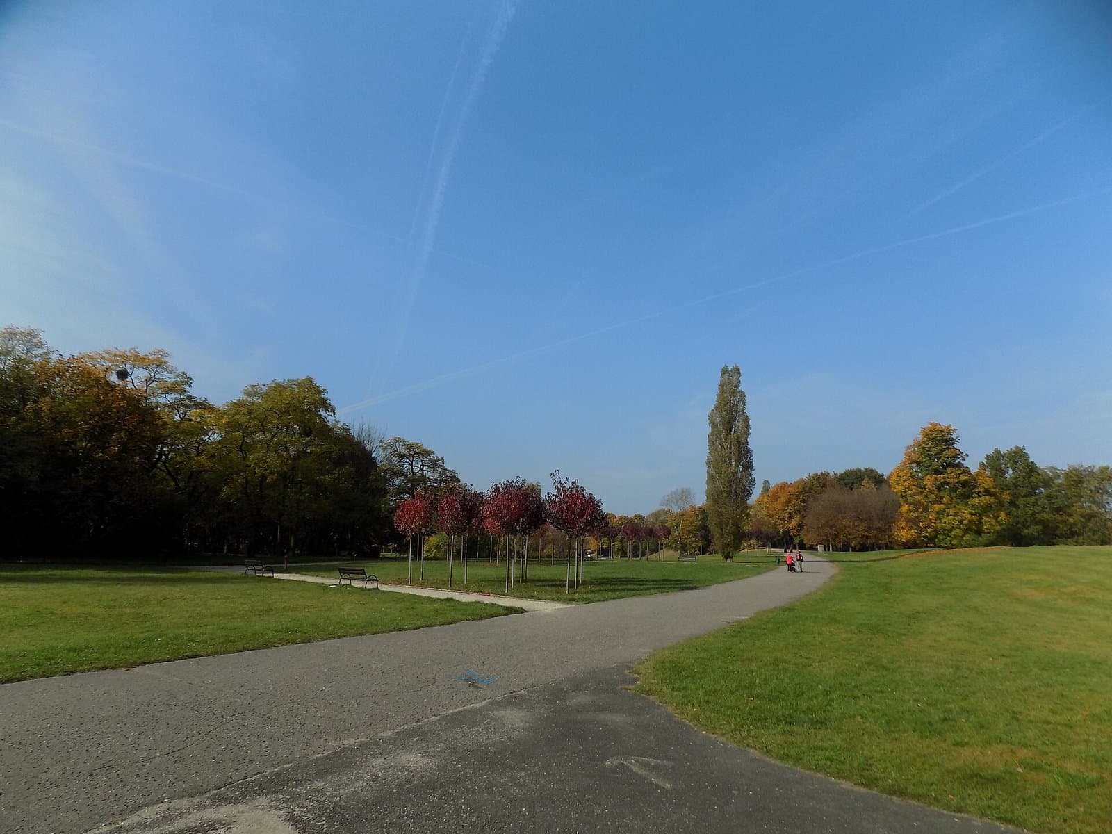 Parque Cytadela em Poznań